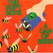 A Can Of Bees