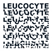 Leucocyte