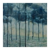 Desire Lines