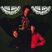 Are You Experienced