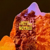 NOYAUX