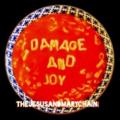 DAMAGE AND JOY