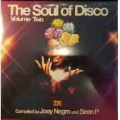 The Soul Of Disco Volume Two 