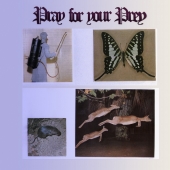 Pray For Your Prey