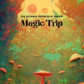 MAGIC TRIP