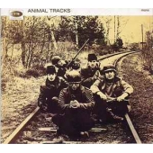 ANIMAL TRACKS