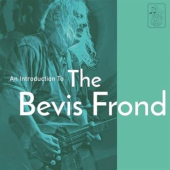 An Introduction To The Bevis Frond
