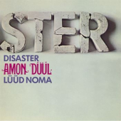 DISASTER / LUUD NOMA