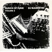 Bunch Of Funk Volume 2