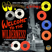 60's Forgotten Things - Welcome To The Wilderness