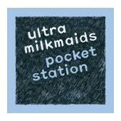 Pocket Station