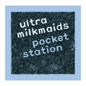 POCKET STATION