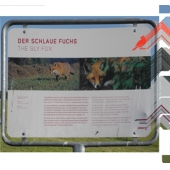 Der Schlaue Fuchs