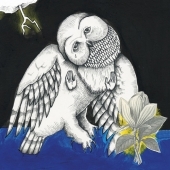 Magnolia Electric Co. (10 Years Anniversary Edition)