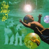 The Infinite Summer Of Love