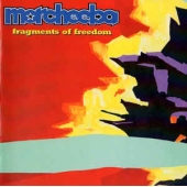 Fragments Of Freedom