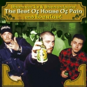 Shamrocks And Shenanigans ( The Best Of House Of Pain And Everlast ) 