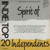 Indie Top 20 Volume V - Spirit Of Independents