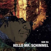 Hello Mr. Schimmel