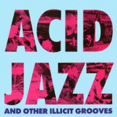 Acid Jazz And Other Illicit Grooves
