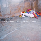 Noise Without Decay